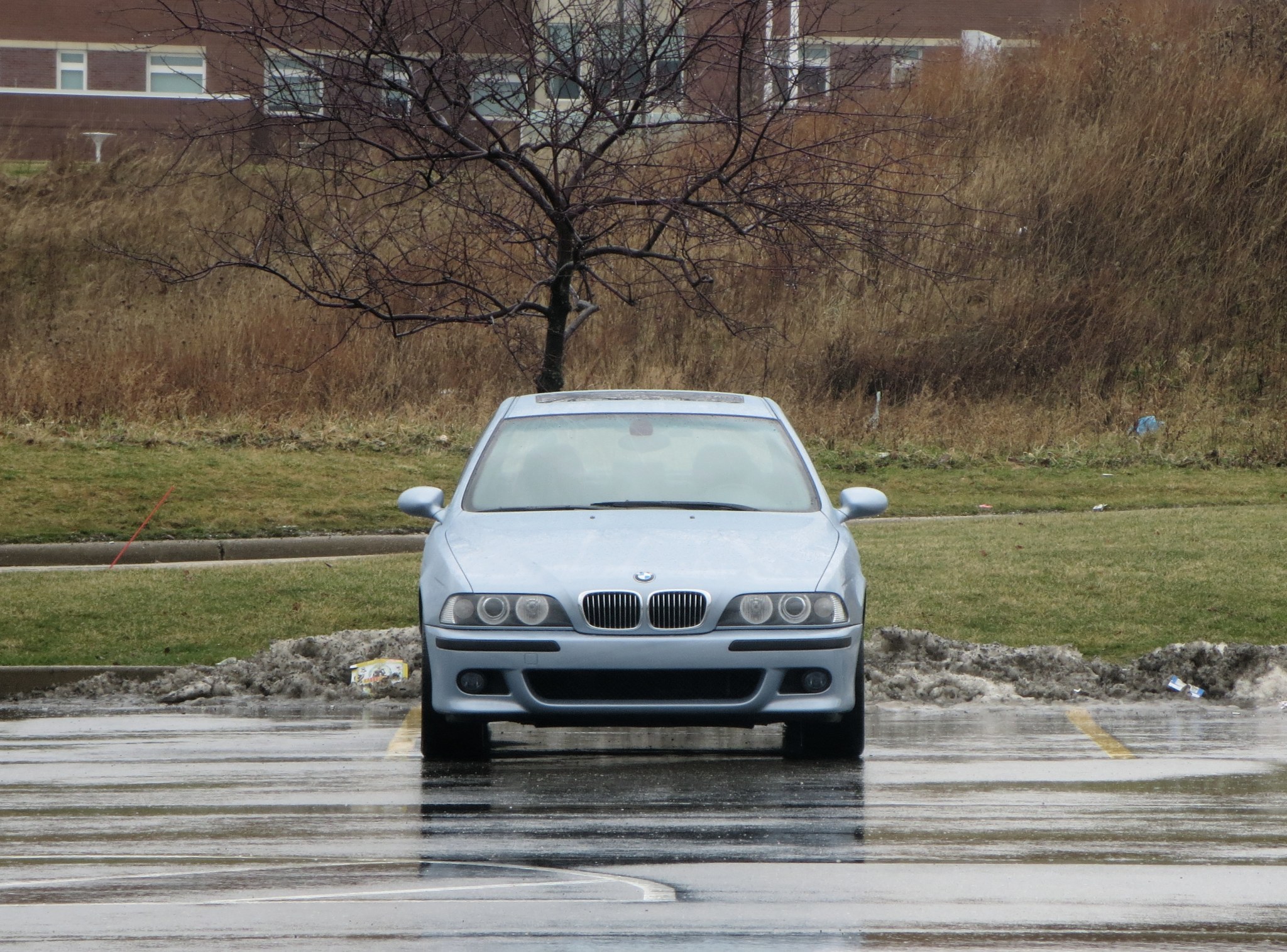 Silver BMW E39 Parked Next to Road